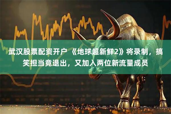 武汉股票配资开户 《地球超新鲜2》将录制，搞笑担当竟退出，又加入两位新流量成员