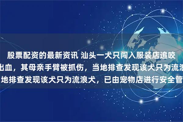 股票配资的最新资讯 汕头一犬只闯入服装店追咬男孩,男孩腿部被抓伤出血,其母亲手臂被抓伤,当地排查发现该犬只为流浪犬,已由宠物店进行安全管理