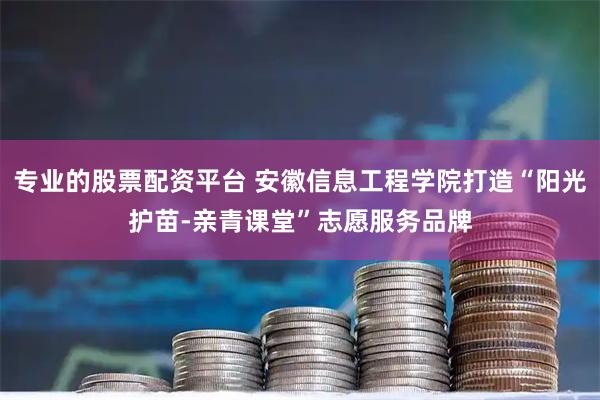 专业的股票配资平台 安徽信息工程学院打造“阳光护苗-亲青课堂”志愿服务品牌