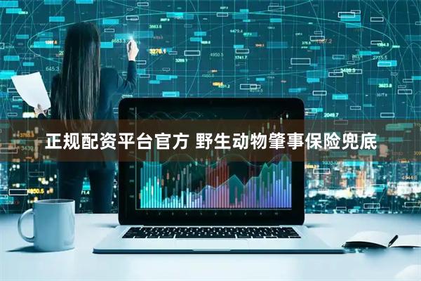 正规配资平台官方 野生动物肇事保险兜底