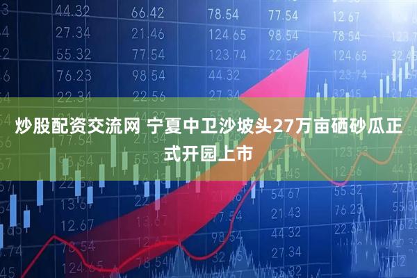 炒股配资交流网 宁夏中卫沙坡头27万亩硒砂瓜正式开园上市