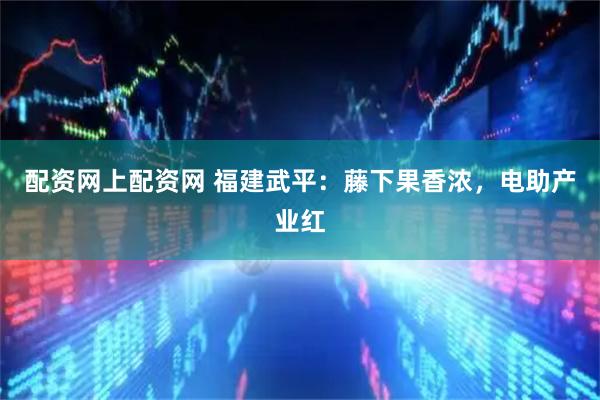 配资网上配资网 福建武平：藤下果香浓，电助产业红
